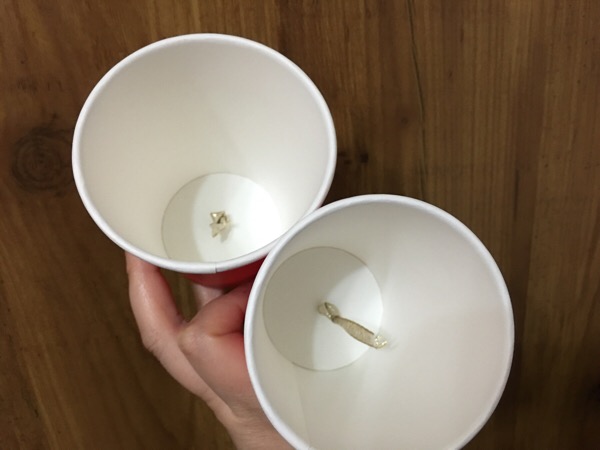 20160521120310.jpg