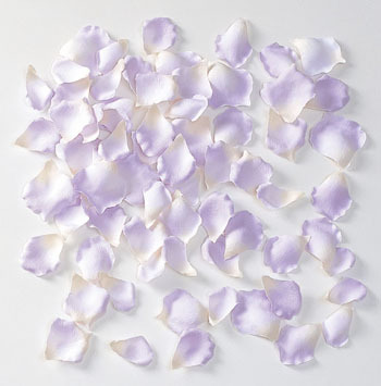 lavender2